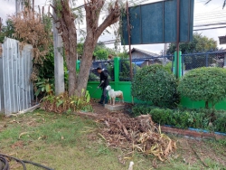 20220129075049.jpg - โรงเรียนเตรียมความพร้อมเพื่อต้อนรับการเปิดเรียนในวันจันทร์ที่ 24 มกราคม 2565  | https://ssl.ac.th