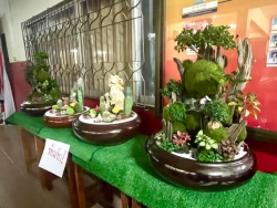 20241224033129.jpg - ผลงานการจัดสวนถาด ชนะเลิศ 3 รายการ รองชนะเลิศ 1 รายการ | https://ssl.ac.th