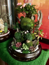 20241224033136.jpg - ผลงานการจัดสวนถาด ชนะเลิศ 3 รายการ รองชนะเลิศ 1 รายการ | https://ssl.ac.th