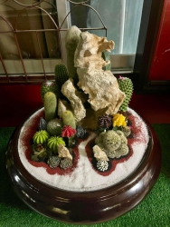 20241224033144.jpg - ผลงานการจัดสวนถาด ชนะเลิศ 3 รายการ รองชนะเลิศ 1 รายการ | https://ssl.ac.th