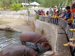 20230222092116(1).jpg - กิจกรรมทัศนศึกษาแหล่งเรียนรู้นอกสถานที่ ของน้องๆ อนุบาล 2-3ป.1-3 ณ สวนสัตว์เชียงใหม่ | https://ssl.ac.th