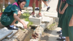 20230520092751.jpg - ลูกเสือเนตรนารีจิตอาสาพัฒนาโรงเรียนร่วมกันคะ | https://ssl.ac.th
