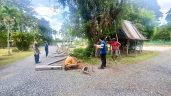 20230801084927(3).jpg - ปรับปรุงภูมิทัศน์โรงเรียนสันทรายหลวง  แผนกอนุบาล | https://ssl.ac.th