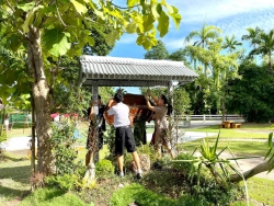 20230801085714.jpg - ขับเคลื่อนภารกิจพัฒนางานโรงเรียนสันทรายหลวง | https://ssl.ac.th