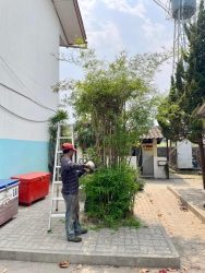 20240421042145.jpg - งานพัฒนาอาคารสถานที่ | https://ssl.ac.th