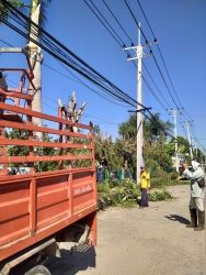 20220113072101.jpg - เทศบาลเมืองเล็นอนุเคราะห์เอื้อเฟื้อช่วยเหลือ ตัดแต่งกิ่งไม้ บริเวณโรงเรียน | https://ssl.ac.th